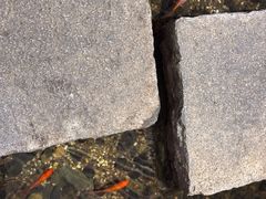 -邈墨茶馆(凤起路店)