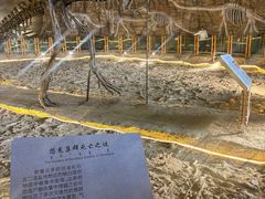 -二连浩特国家地质公园