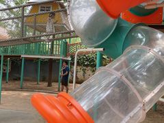 -南宫五洲植物乐园