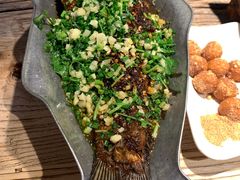 香辣炝锅鱼-树厨贵州菜(大十字店)