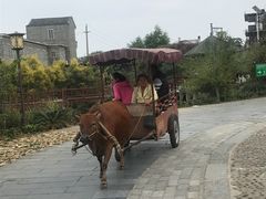 -扬美古镇景区