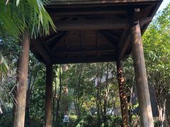 -张家港金凤凰度假村温泉