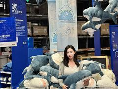 -宜家家居(四元桥商场店)