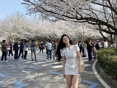 -武汉大学-樱园