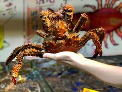 -79号渔船海鲜饭店(华强北店)