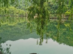-九如山休闲旅游度假区