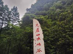 -瓦屋山景区
