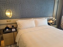 -深圳国际会展中心希尔顿酒店(前海华发冰雪世界店)