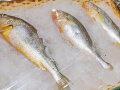 -蚝老板海鲜烧烤大排档(码头店)