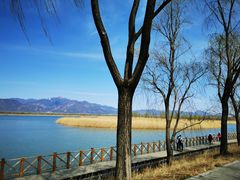 -野鸭湖国家湿地公园