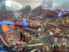 -金海湾海鲜排档(朱家尖店)