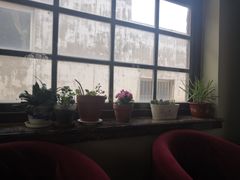 靠窗位-1901 Cafe(西四店)