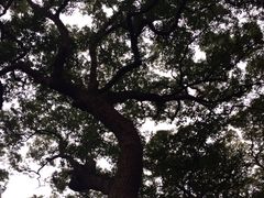 -普陀山风景名胜区-法雨禅寺