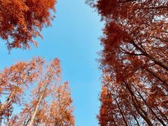 -艾溪湖湿地公园