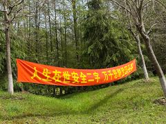 -上海海湾国家森林公园