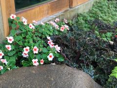 -Chom Cafe and Restaurant