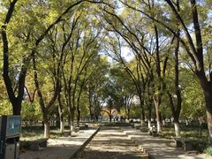 -山东大学(洪家楼校区)