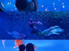 -合肥海洋世界