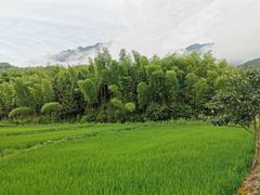 -仙霞关景区