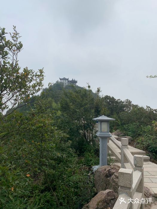 大阳山国家森林公园景点图片