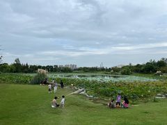 -澹台湖公园