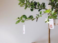 -Oasis coffee燕谷咖啡(公信店)