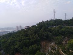 -金鸡山公园