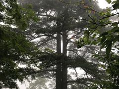 -黄山北海宾馆
