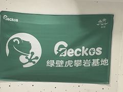 -绿壁虎攀岩基地(Tcar店)