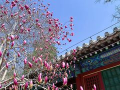 -潭柘寺景区