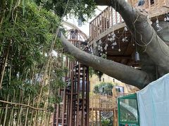 -杭州开元森泊度假乐园