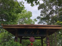 -广州市流溪河国家森林公园