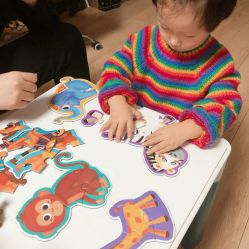 -聪明玩具奥迪双钻专卖店(岐山中路店)