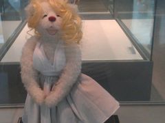 -济州岛泰迪熊博物馆