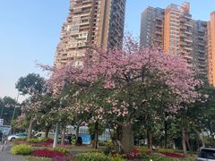 -宝能·all city(南山店)