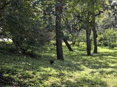 -北陵公园