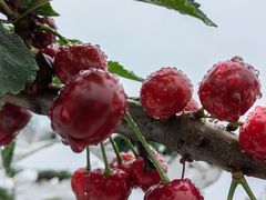 -新黑石礁酒楼·海鲜(黑石礁店)