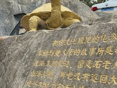 -石老人观光园