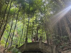 -凤栖山
