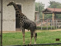 -石家庄市动物园