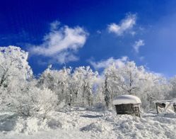 -大秃顶子山