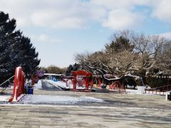 -北陵公园