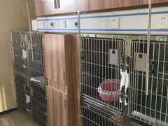 -康成宠物医院24H·CT·核磁共振
