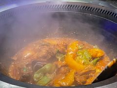 -挂雪铁锅炖大鹅