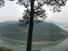 -铁山坪森林公园