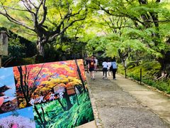 -常寂光寺