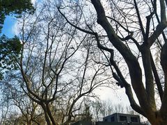 -徐家汇源景区-衡山公园