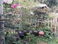 -花间酒庭院餐厅(谷山店)