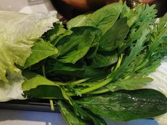 蔬菜拼盘-阳坊胜利涮羊肉(阳坊老店)