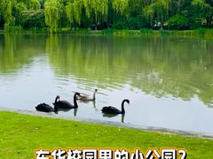 -东华大学(松江校区)